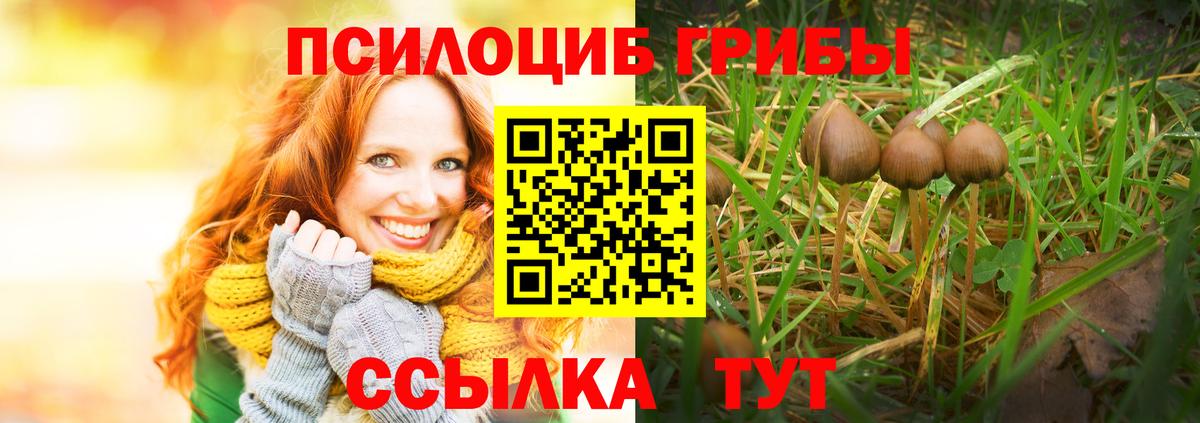 Псилоцибиновые грибы Psilocybe  Галлюциногенные грибы GOLDEN TEACHER  Дербент  Вход с VPN 
