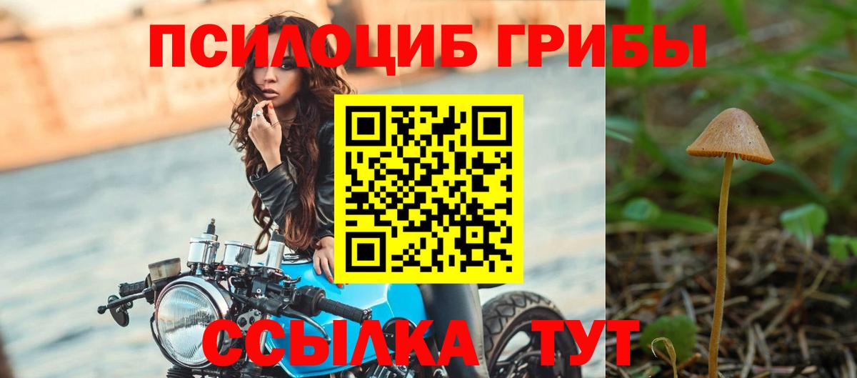 Псилоцибиновые грибы MAGIC MUSHROOMS Дербент