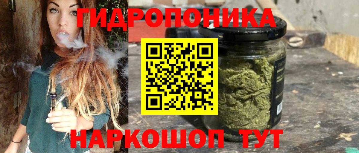 Шишки марихуана марихуана Дербент